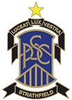 st patricks college logo